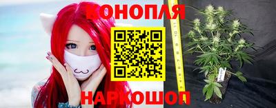 гашик Будённовск