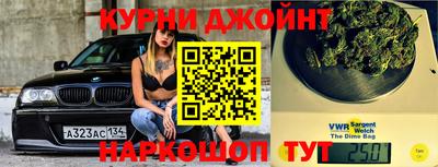 гашик Будённовск