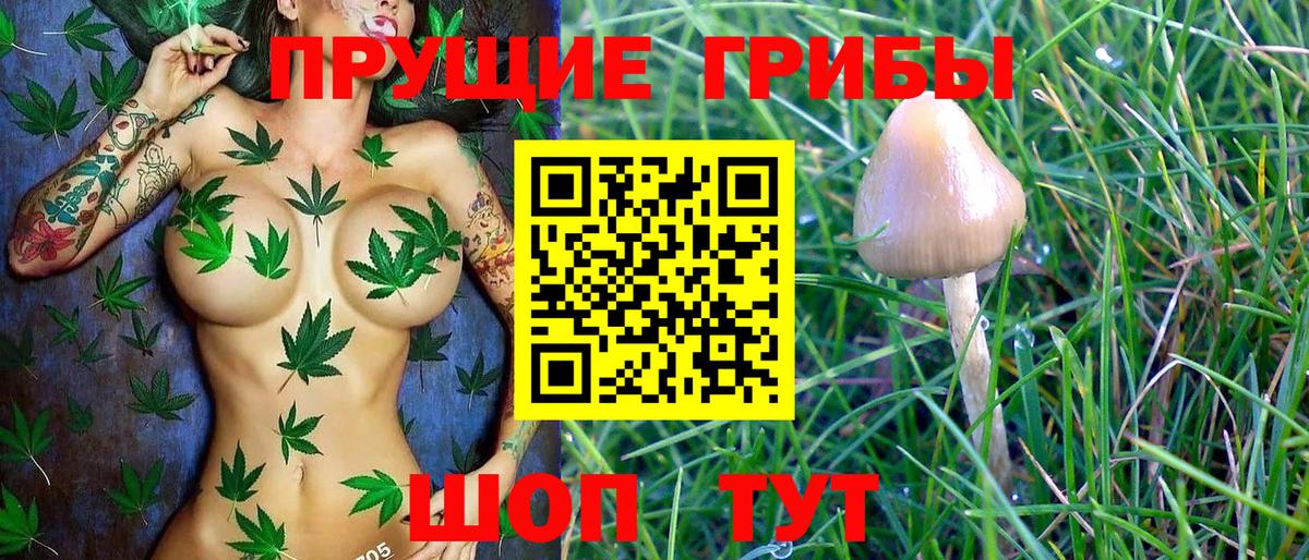 магазин продажи   Вход с VPN  Пушкино  Псилоцибиновые грибы MAGIC MUSHROOMS  Галлюциногенные грибы Psilocybine cubensis 