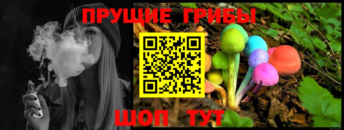 Галлюциногенные грибы Psilocybine cubensis Пушкино